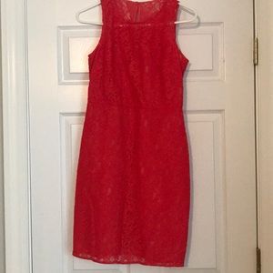 Lace J. Crew dress
